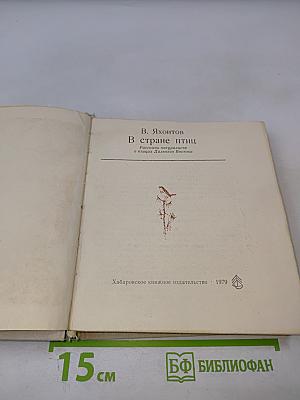 В стране птиц