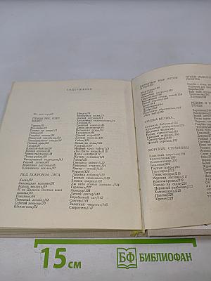 В стране птиц