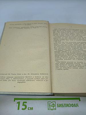 Чешско-русский словарь