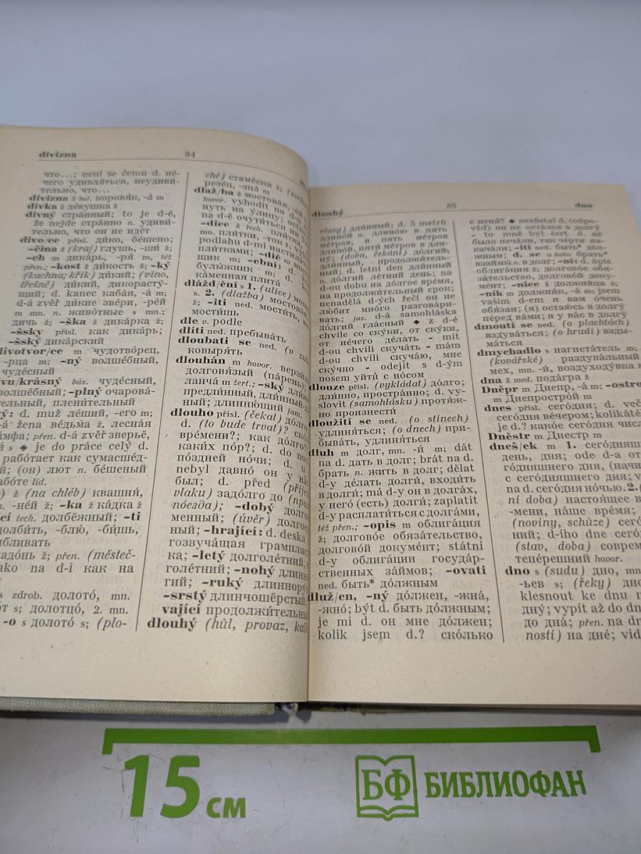 Чешско-русский словарь