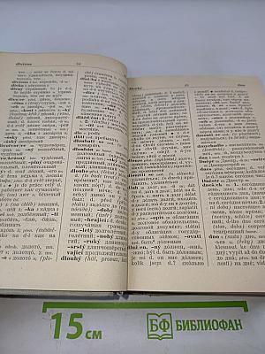 Чешско-русский словарь