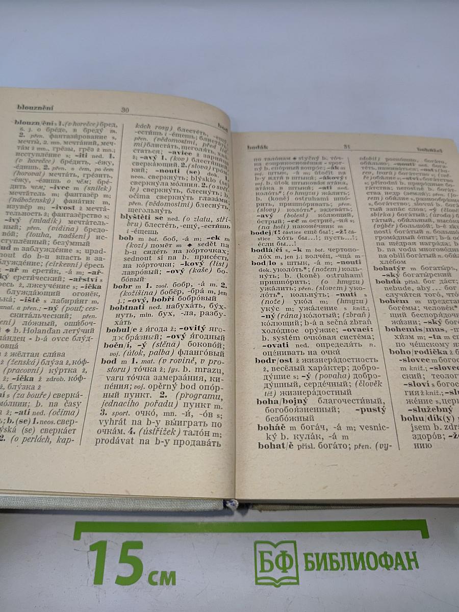 Чешско-русский словарь