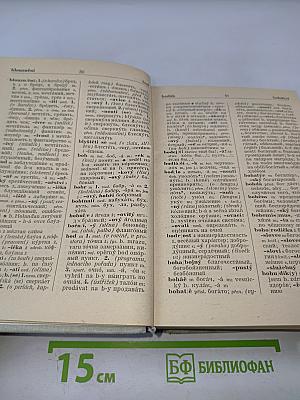 Чешско-русский словарь