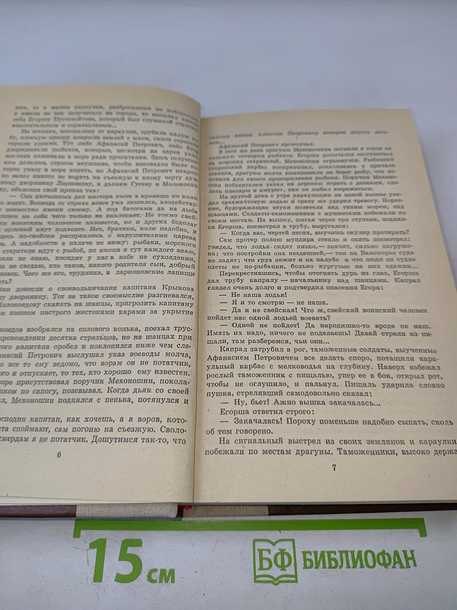 Россия молодая. Книга вторая