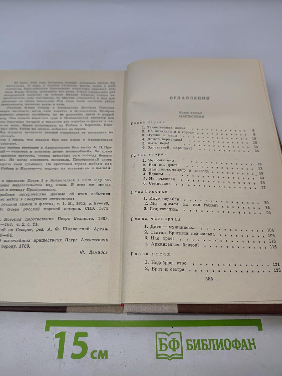 Россия молодая. Книга вторая