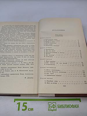 Россия молодая. Книга вторая