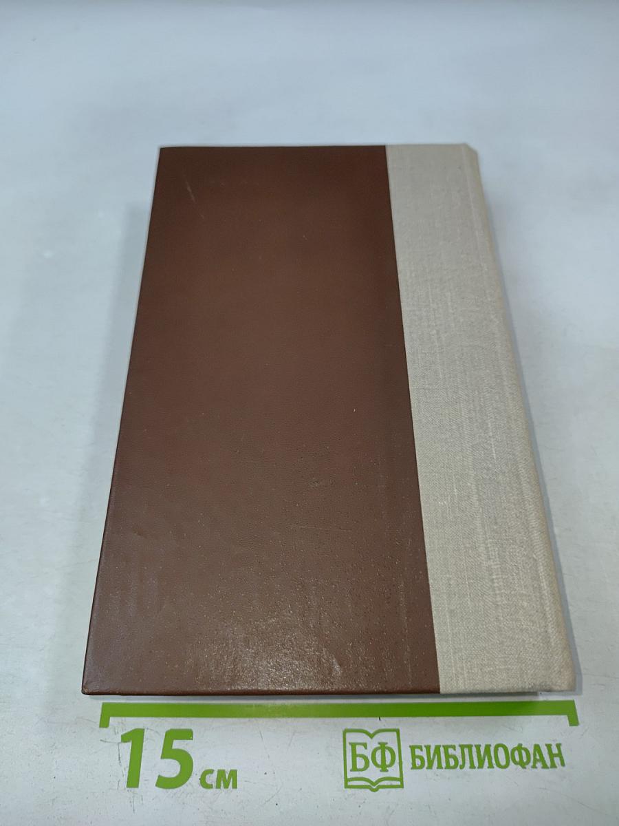 Россия молодая. Книга вторая