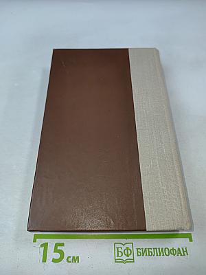 Россия молодая. Книга вторая