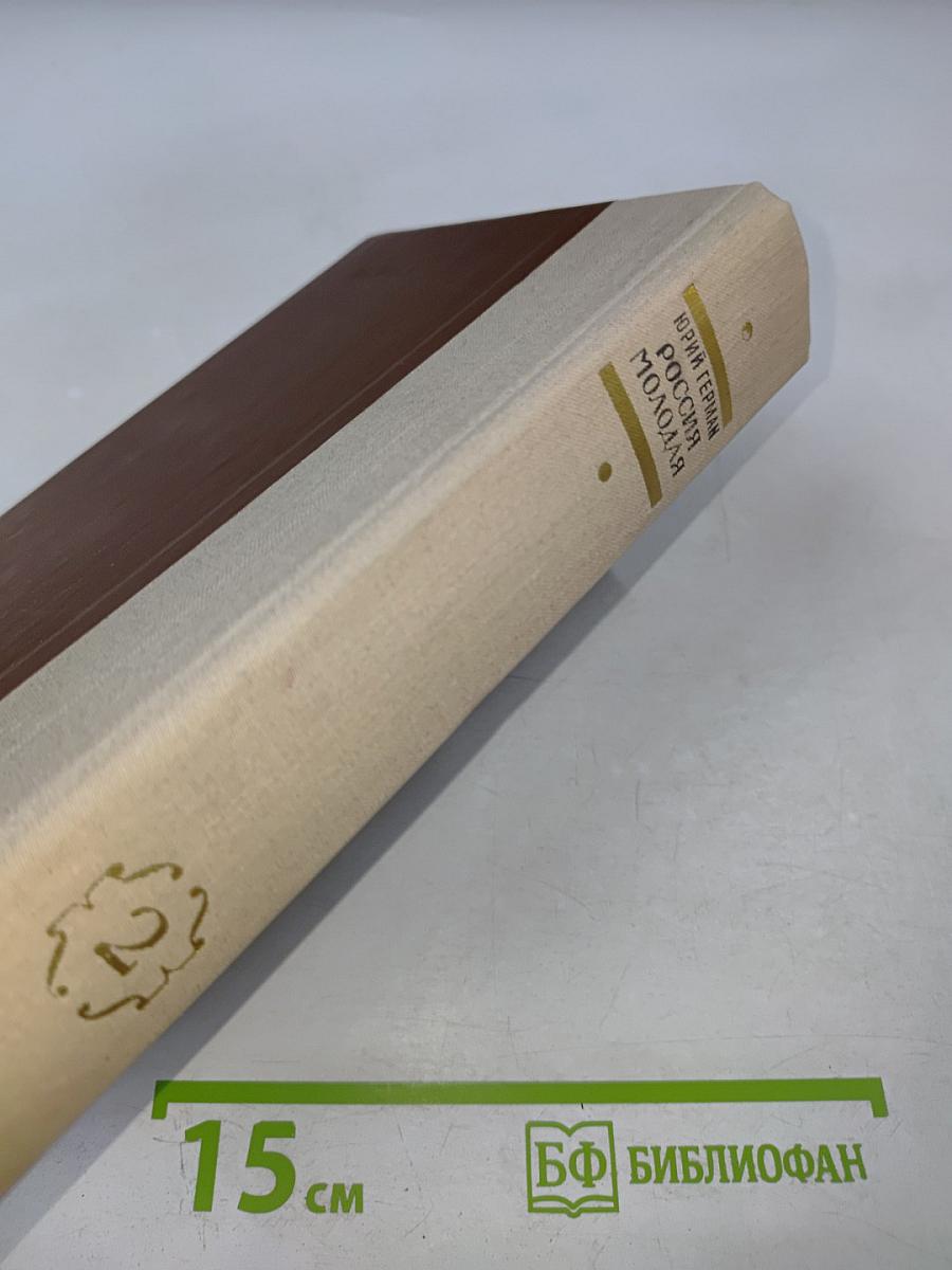 Россия молодая. Книга вторая