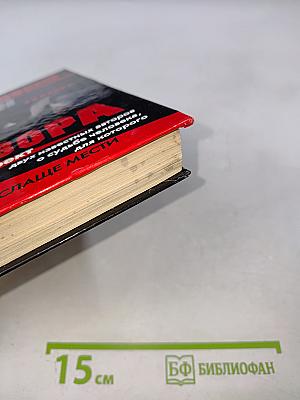 Знахарь. Месть Вора