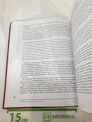 Литература. Учебник для 9 класса. В двух частях. Часть 2