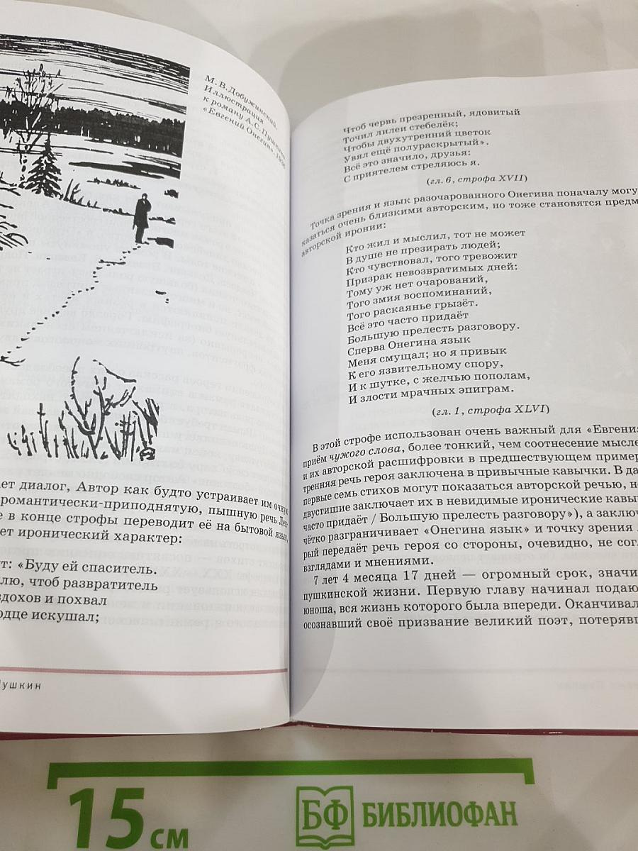 Литература. Учебник для 9 класса. В двух частях. Часть 2
