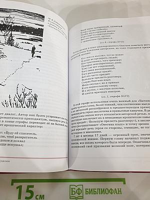 Литература. Учебник для 9 класса. В двух частях. Часть 2
