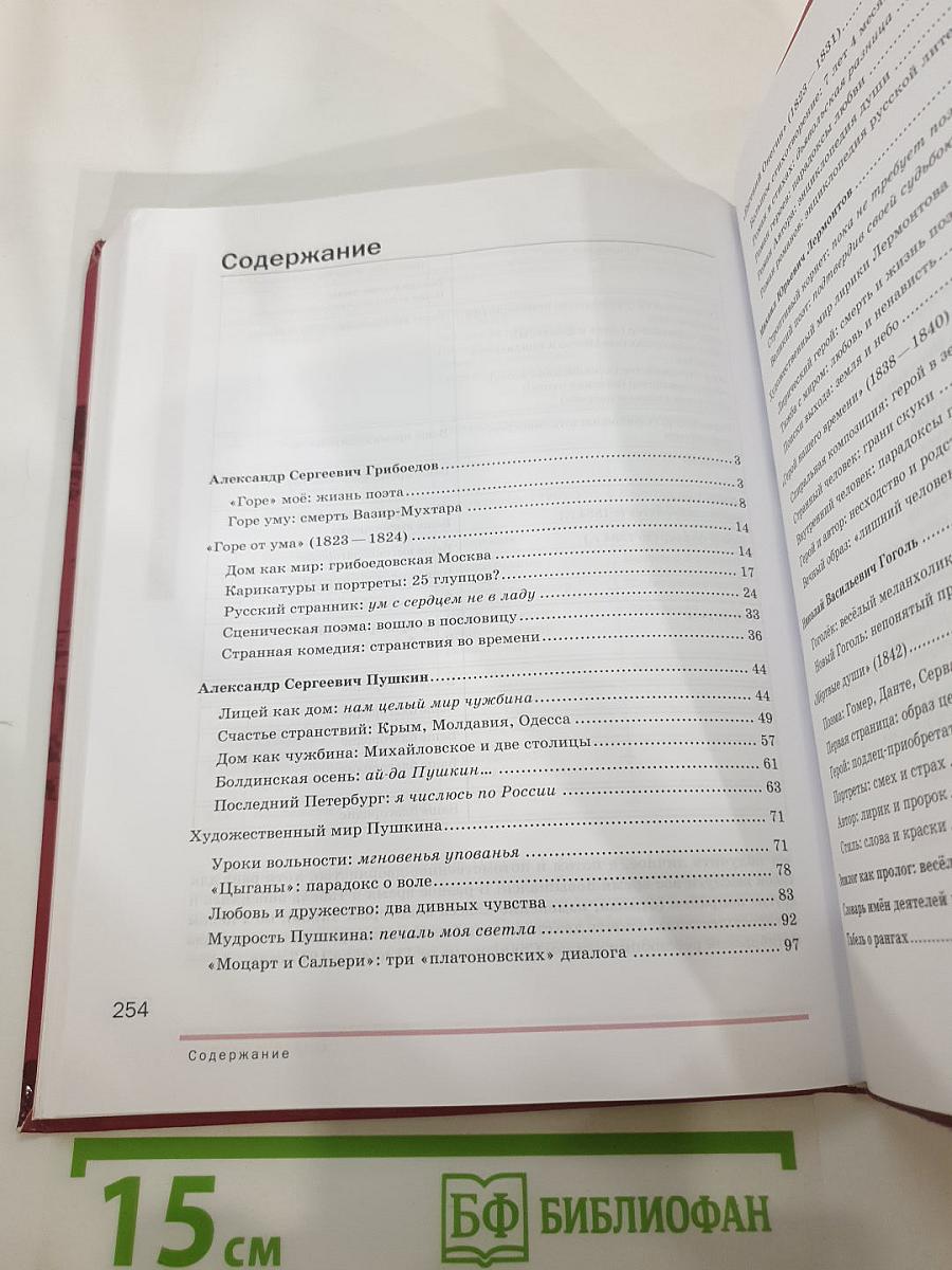Литература. Учебник для 9 класса. В двух частях. Часть 2