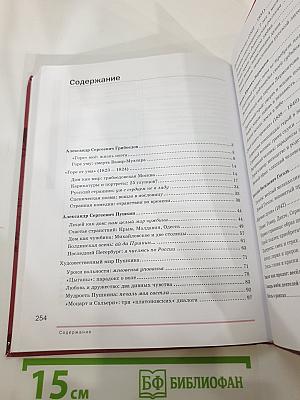 Литература. Учебник для 9 класса. В двух частях. Часть 2
