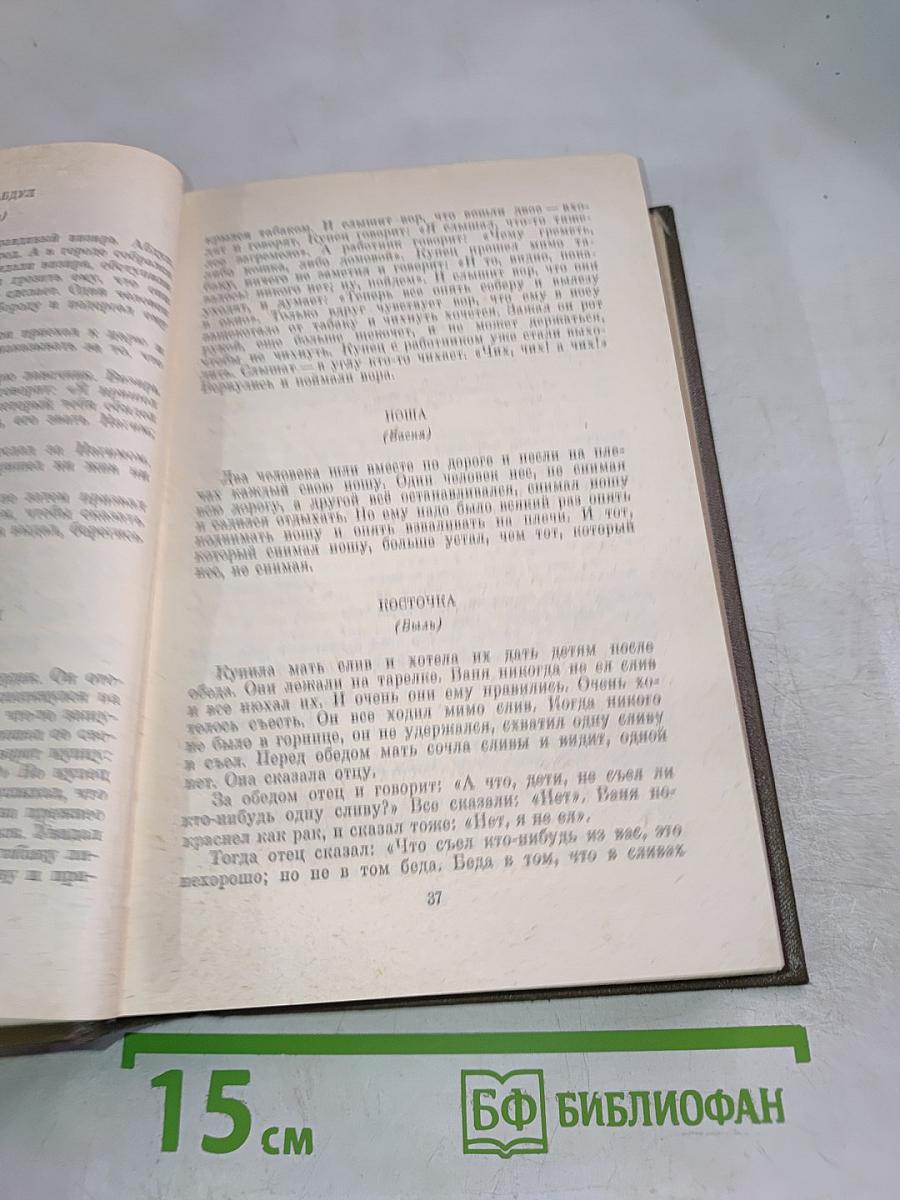 Повести и рассказы 1872-1886. Том десятый