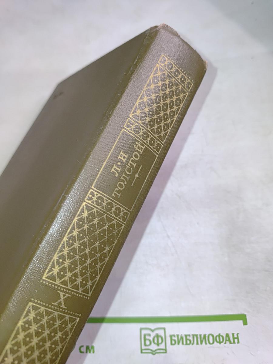 Повести и рассказы 1872-1886. Том десятый