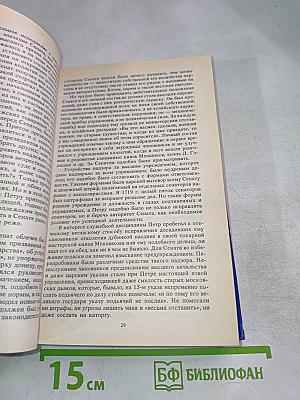 Русская история. Полный курс лекций в трех книгах. Книга Третья