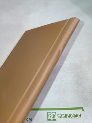 Воспоминания о будущем