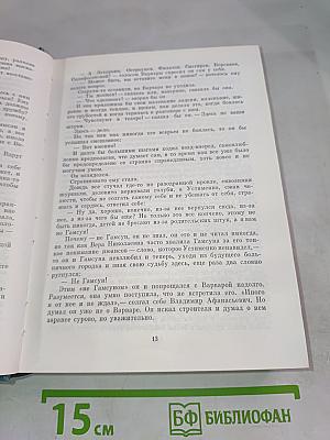 Я отвечаю за все. Том шестой