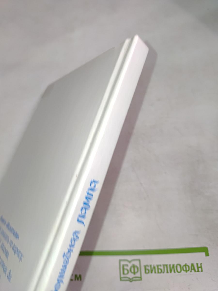 Волшебная лампа