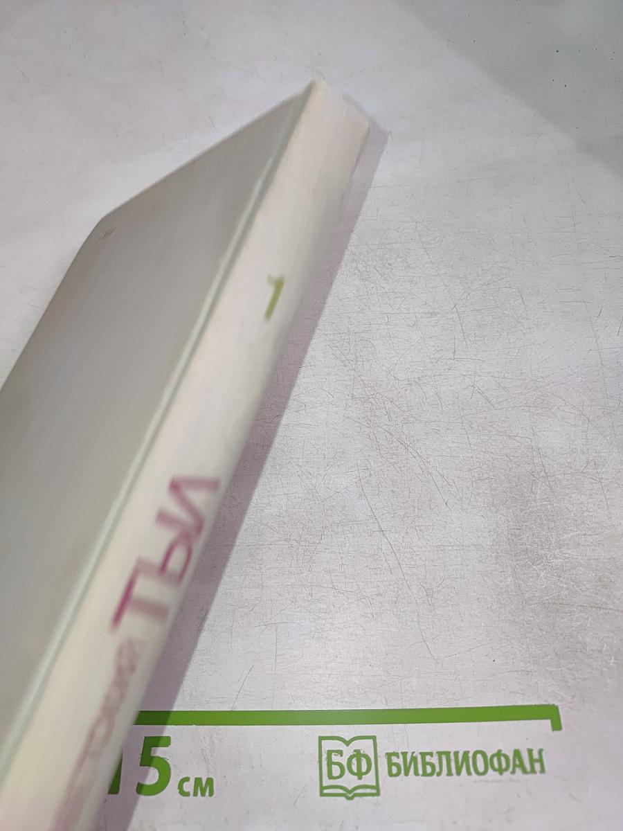 Советский тыл в Великой Отечественной войне. Книга первая. Общие проблемы