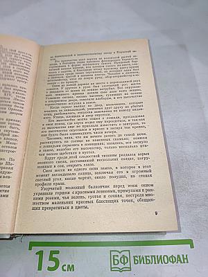 Виконт де Бражелон, или Десять лет спустя. Части 1, 2