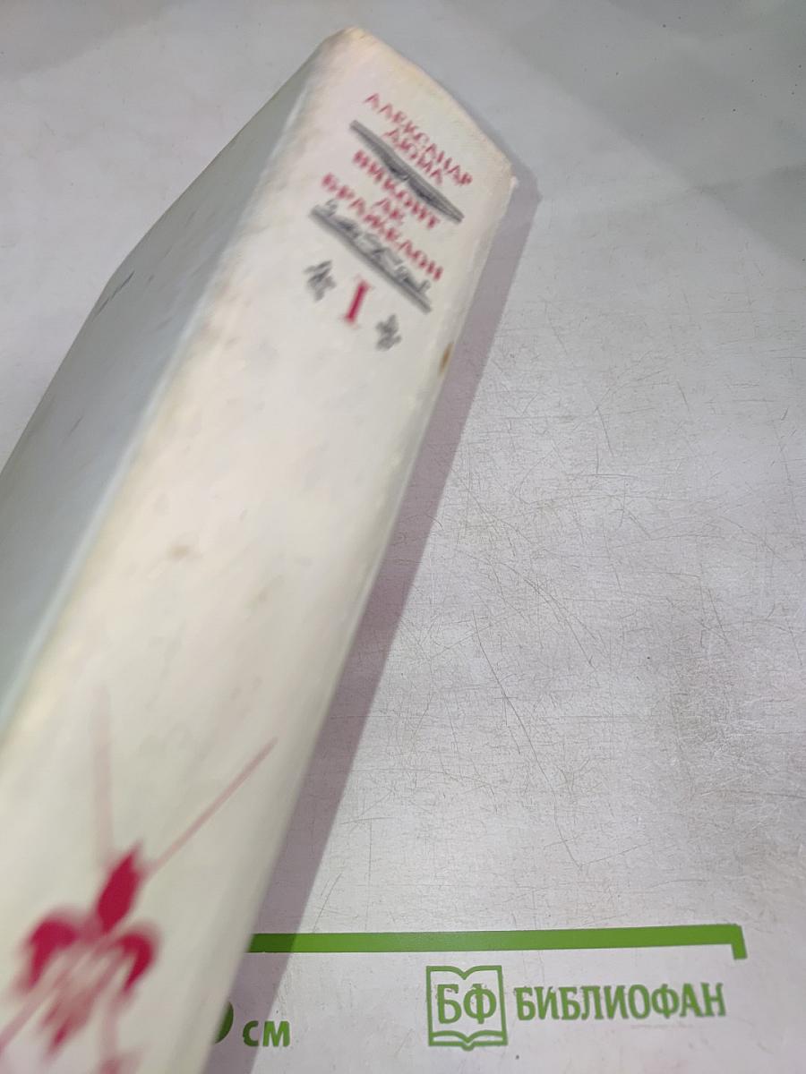 Виконт де Бражелон, или Десять лет спустя. Части 1, 2