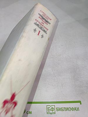 Виконт де Бражелон, или Десять лет спустя. Части 1, 2