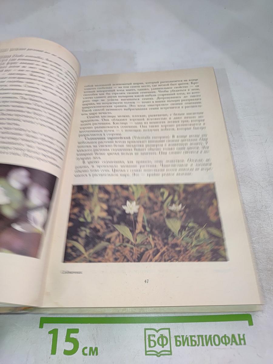 Растительный мир нашей Родины. Книга для учителя