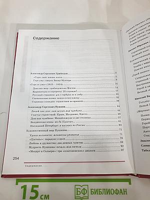 Литература 9 класс часть 2