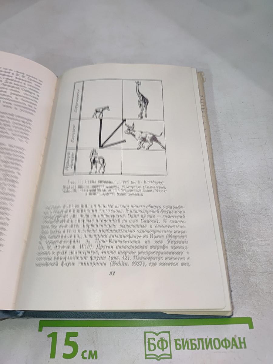 В Мире Древних Животных