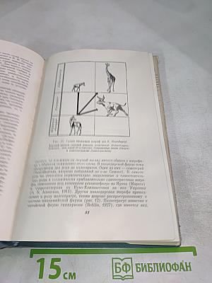 В Мире Древних Животных