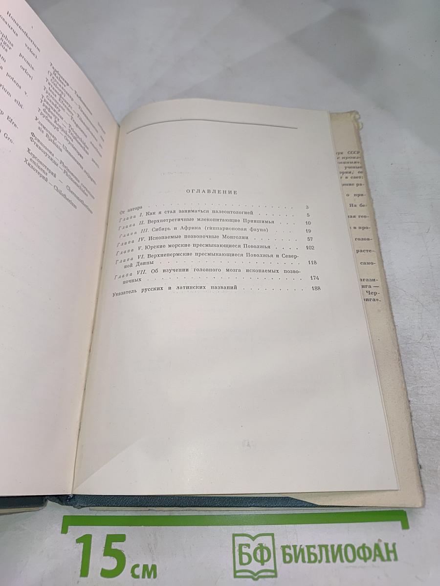 В Мире Древних Животных