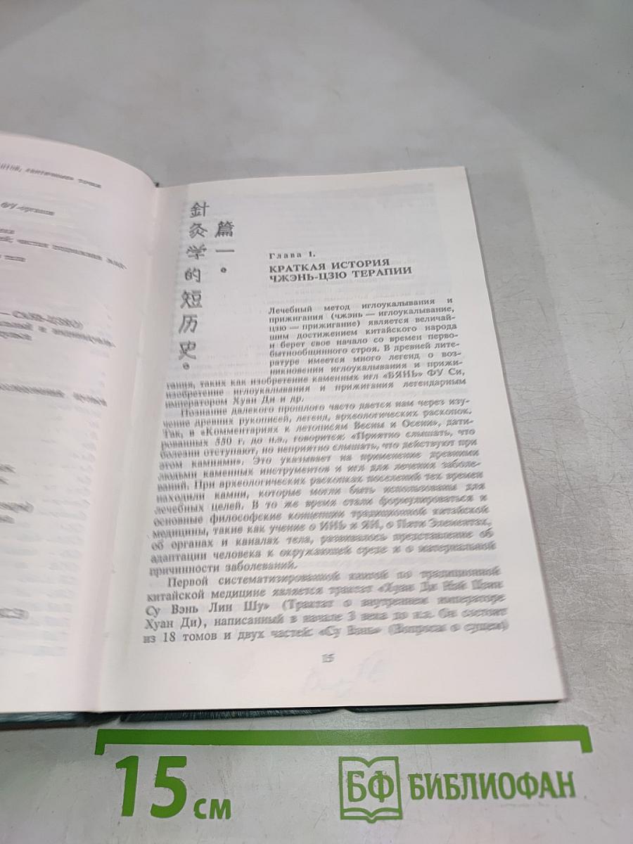 Основы Чжень-цзю терапии