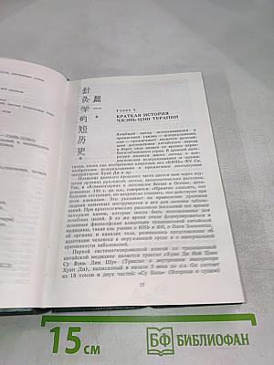 Основы Чжень-цзю терапии