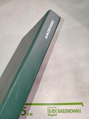 Основы Чжень-цзю терапии