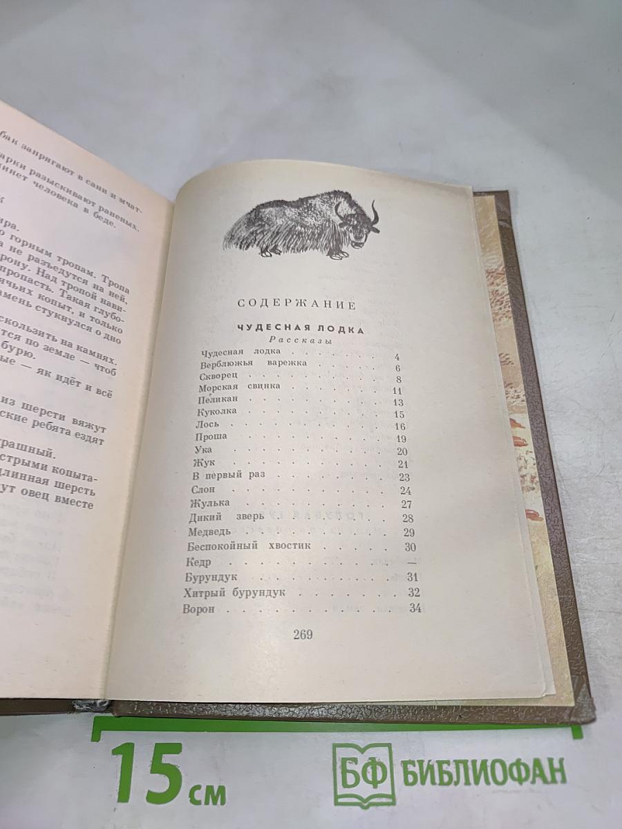 На холодной реке