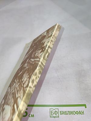 На Курской дуге