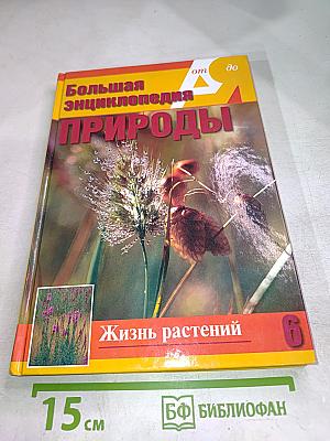 Большая энциклопедия природы. Жизнь растений. Травянистые растения. Том 6