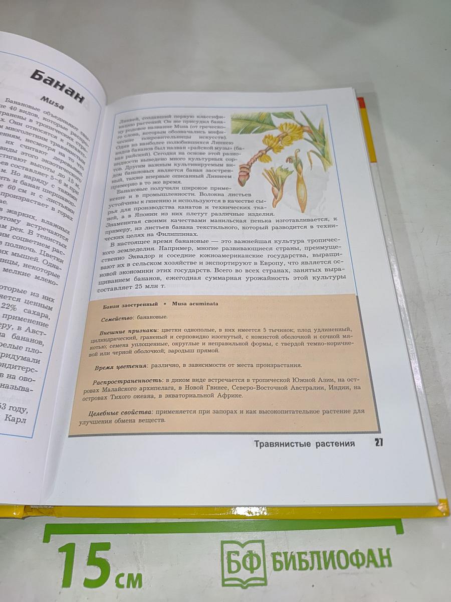 Большая энциклопедия природы. Жизнь растений. Травянистые растения. Том 6