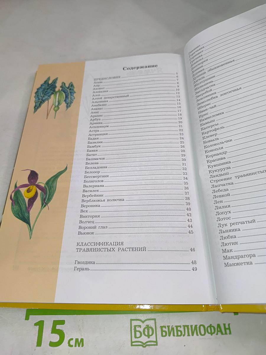 Большая энциклопедия природы. Жизнь растений. Травянистые растения. Том 6