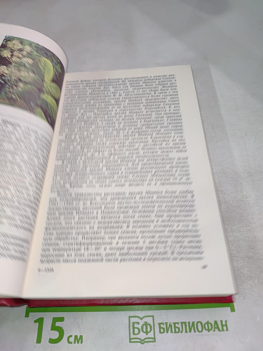 Редкие и исчезающие растения. Книга первая