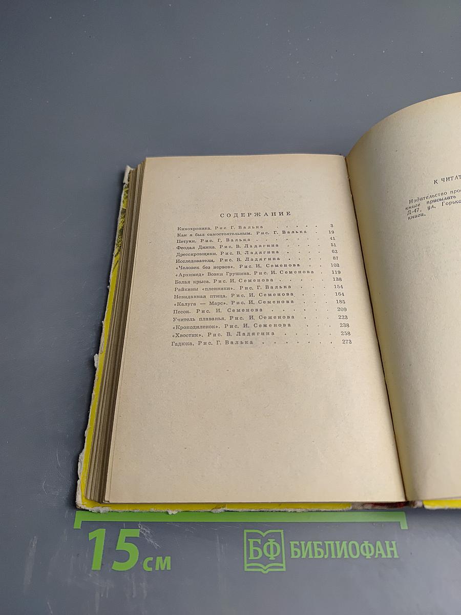 Невиданная птица