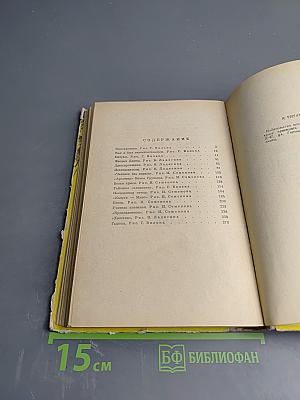 Невиданная птица