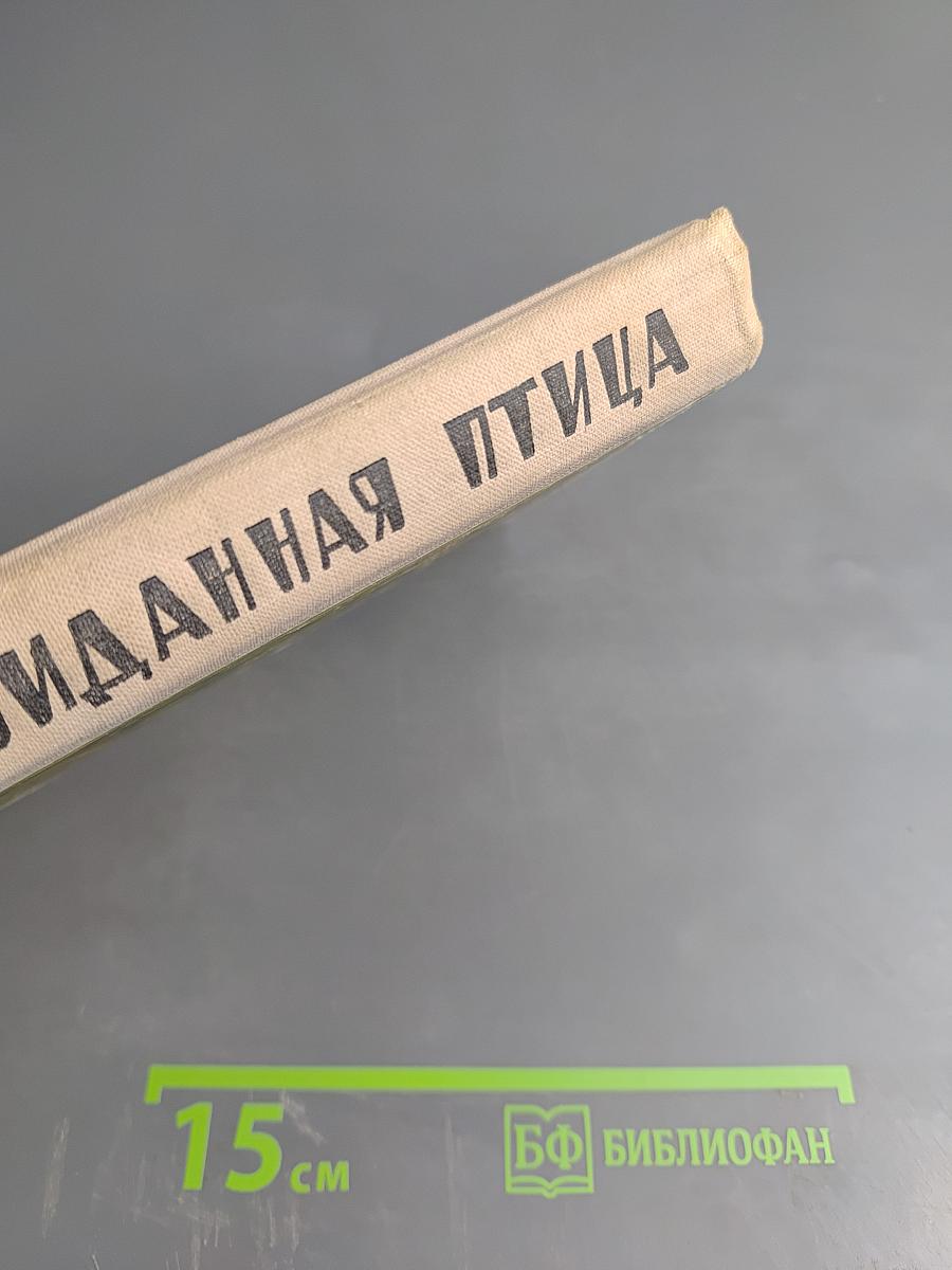 Невиданная птица