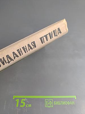 Невиданная птица