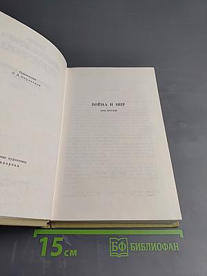 Война и мир. Том третий