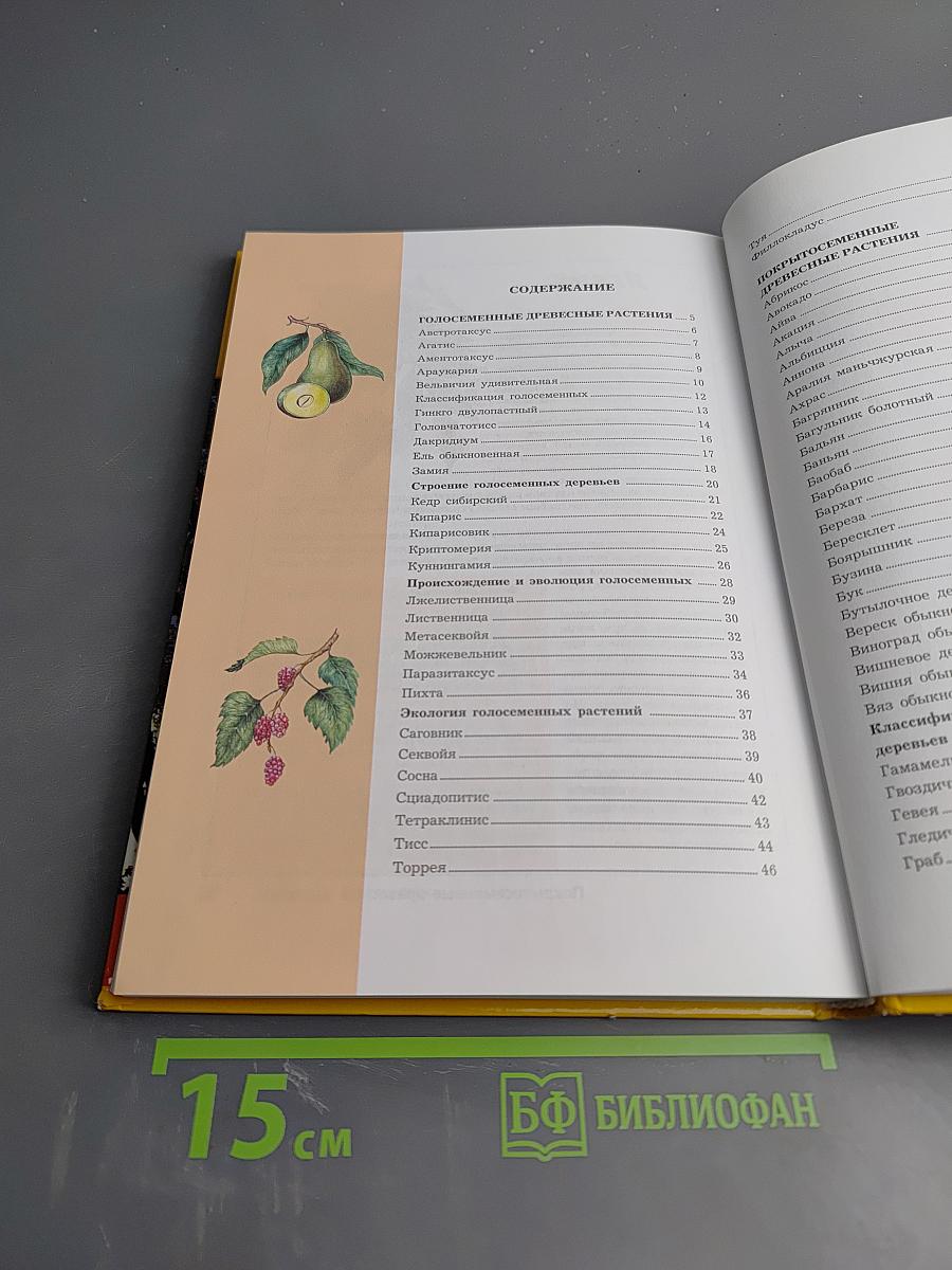 Жизнь растений. Деревья и кустарники. Том 7