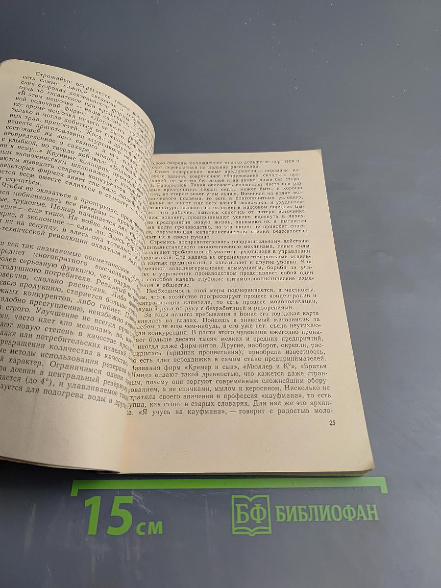 ФРГ: 80-е годы. Очерки общественных нравов